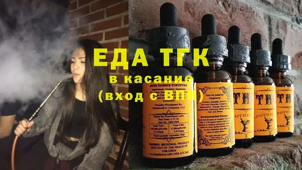 индика Кемь