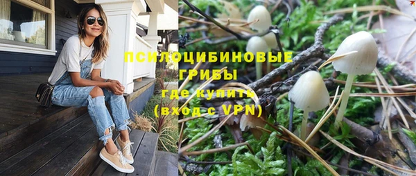 apvp Новодвинск