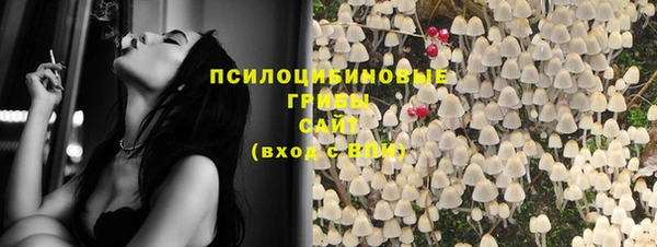 соль ск Новозыбков
