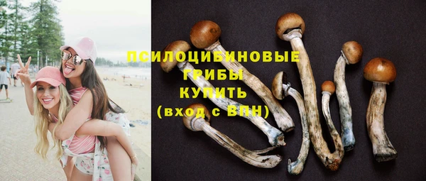 марихуана Кедровый